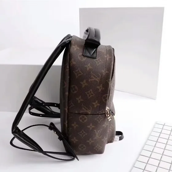 Louis Vuitton Palm Springs Bruin Rugzak