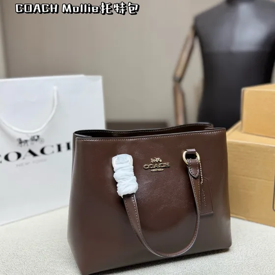 Coach Mollie Tote Bag Black Tote Bag