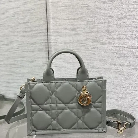 Dior Dior Book Tote Mini Grey Tote Bag