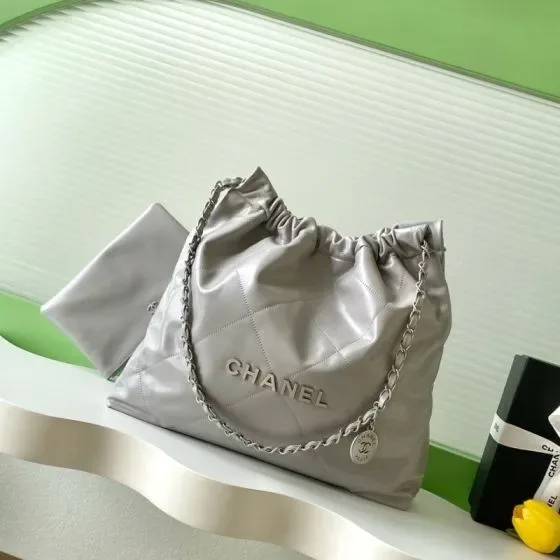 Chanel 22 Bag Silver Gray Hobo