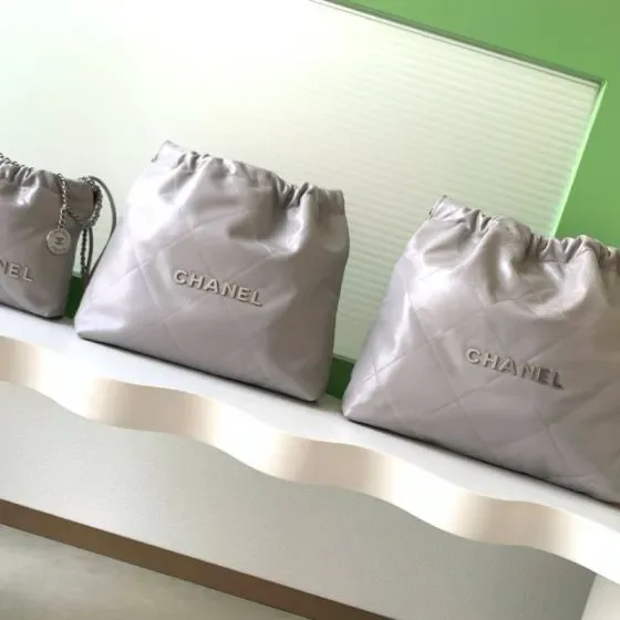 Chanel 22 Bag Grey Hobo