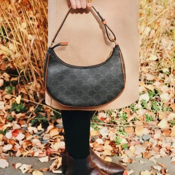Celine Ava Triomphe Bag Black Hobo