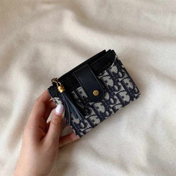 Dior Oblique Zip Card Holder Бежевый And Чёрный Card Holder