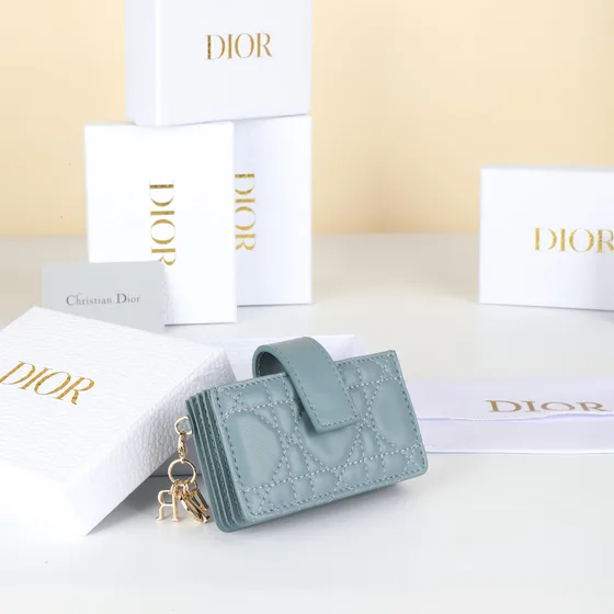 Dior Lady Dior 5-Gusset Card Holder Sky Blue Card Holder
