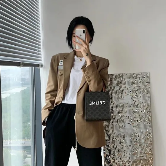 Celine Cabas Vertical Brown Top Handle