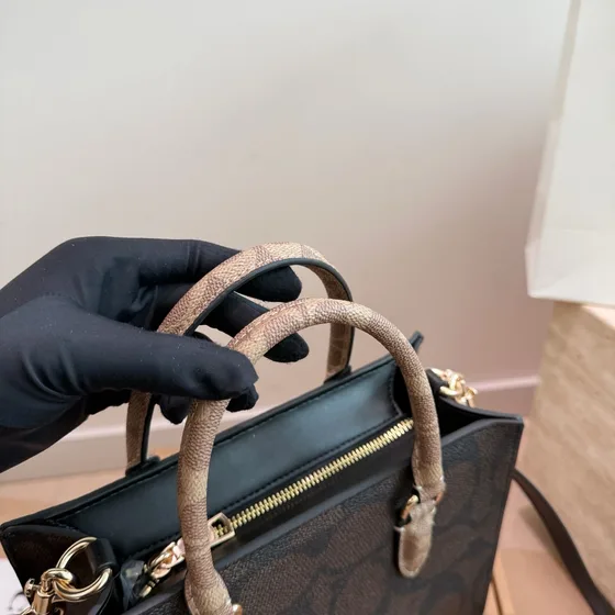Coach Maggie Small Tote Bag Brown Black Top Handle