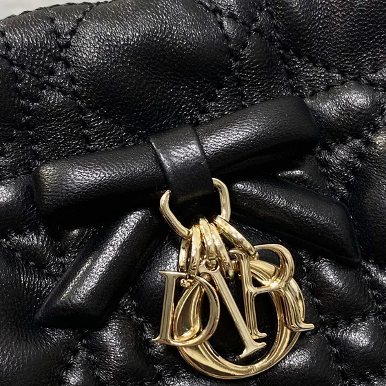 Dior Dior Travel Pouch Hitam Crossbody
