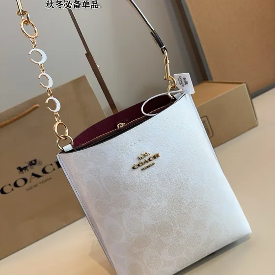 Coach Mollie Bucket Bag White Shoulder Bag