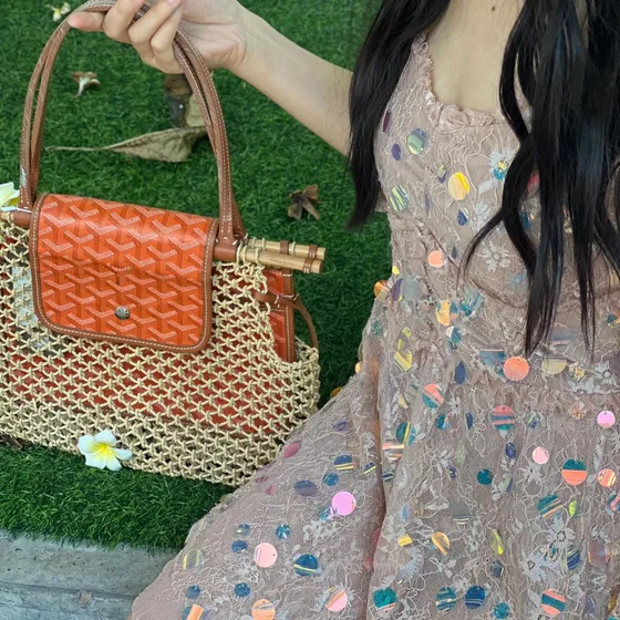 Goyard Aligre Net Bag Orange Tote Bag
