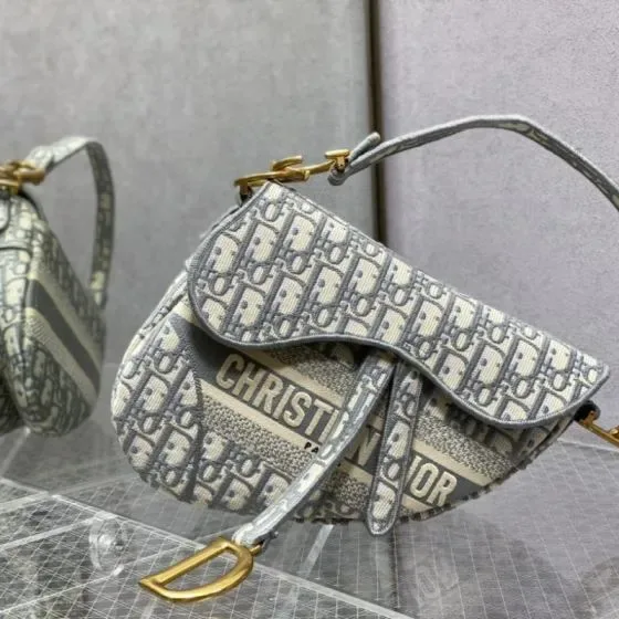 Dior Saddle Bag Gray Shoulder Bag