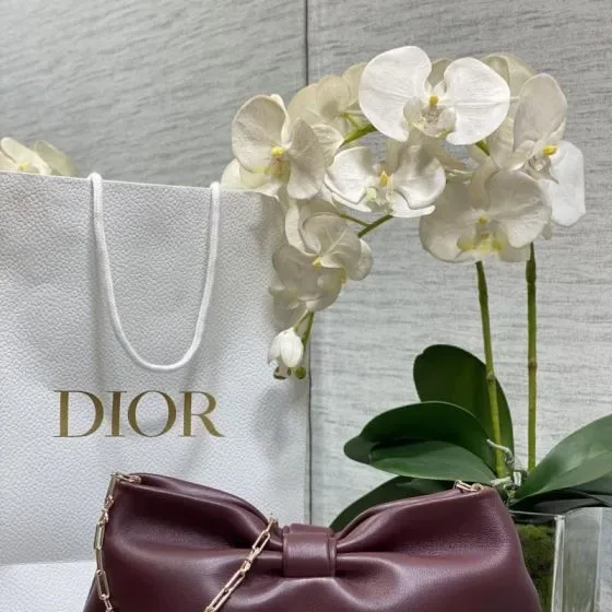 Dior Dior Dream Shoulder Bag Burgundy Shoulder Bag