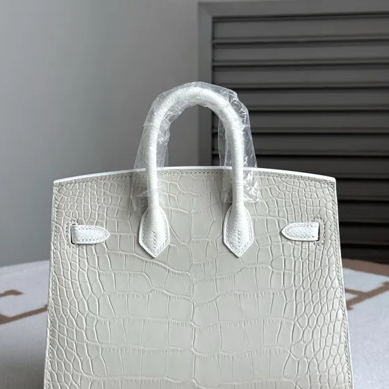 Hermes Birkin Faubourg Sellier 20 White 20cm Top Handle