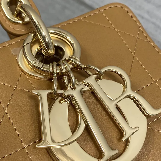 Dior Lady Dior Marron Anse supérieure