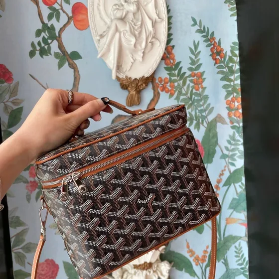Goyard Muse Vanity Case بني Top Handle
