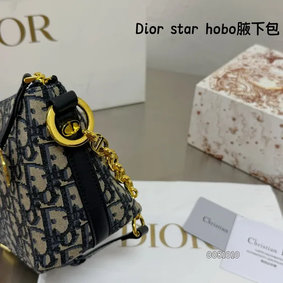 Dior Diorstar Hobo Bag Blå/Beige Hobo