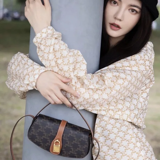 Celine Triomphe أسود Shoulder Bag