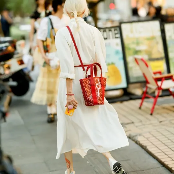 Goyard Belharra Tote Red Top Handle