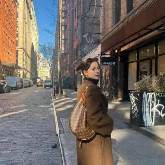 Louis Vuitton Loop Brun Skuldertaske