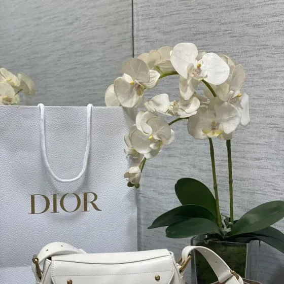 Dior White Shoulder Bag