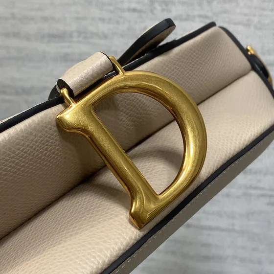 Dior Saddle Bag Beige Shoulder Bag