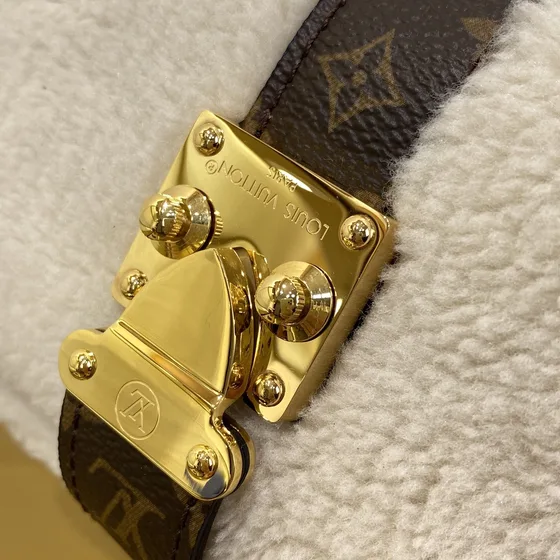 Louis Vuitton Teddy Bumbag Blanc Marron Belt Bag
