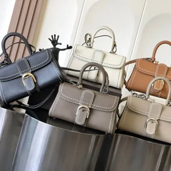 Delvaux Brillant Mini Horizon Multiple Colors Black White Tan Grey Top Handle