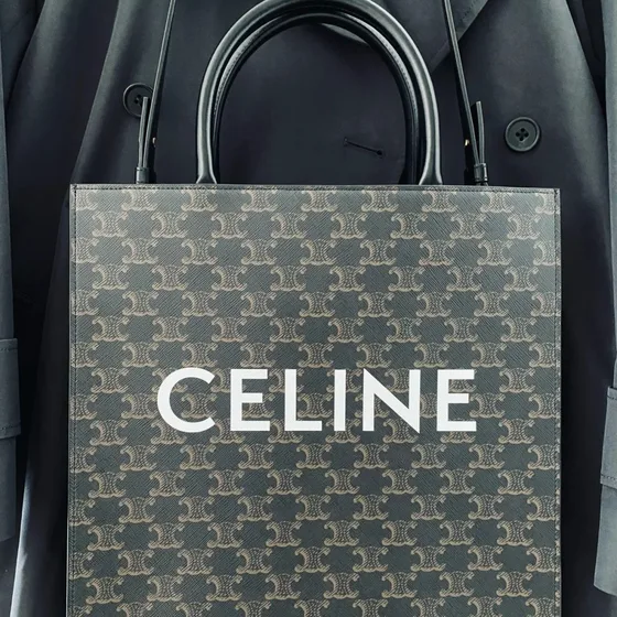 Celine Vertical Cabas Coklat Tote Bag