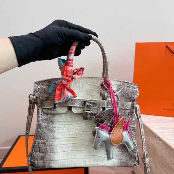 Hermes Birkin White Grey Top Handle