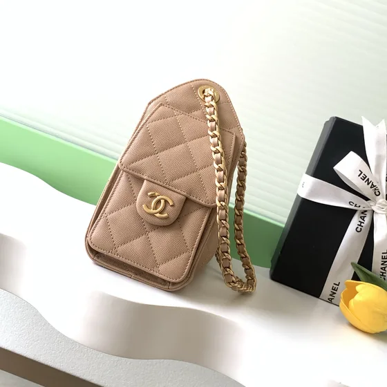 Chanel 25 Small Hobo Bag Beige Hobo