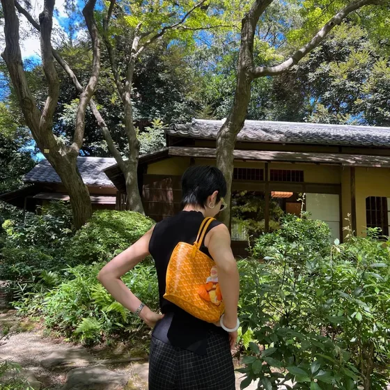 Goyard Unknown Orange Shoulder Bag