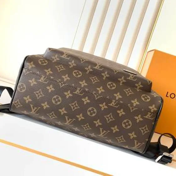 Louis Vuitton Rugzak Monogram 40x31x15cm everyday