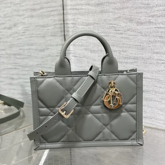 Dior Dior Book Tote Mini Grey Tote Bag