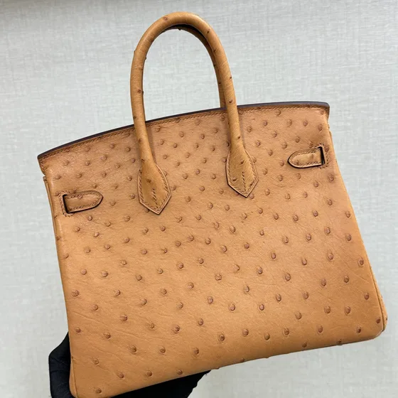 Hermes Birkin Tan Top Handle