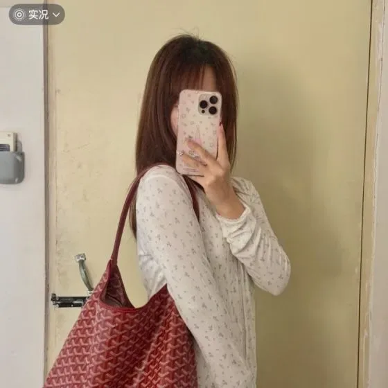 Goyard Saint Louis Red Hobo