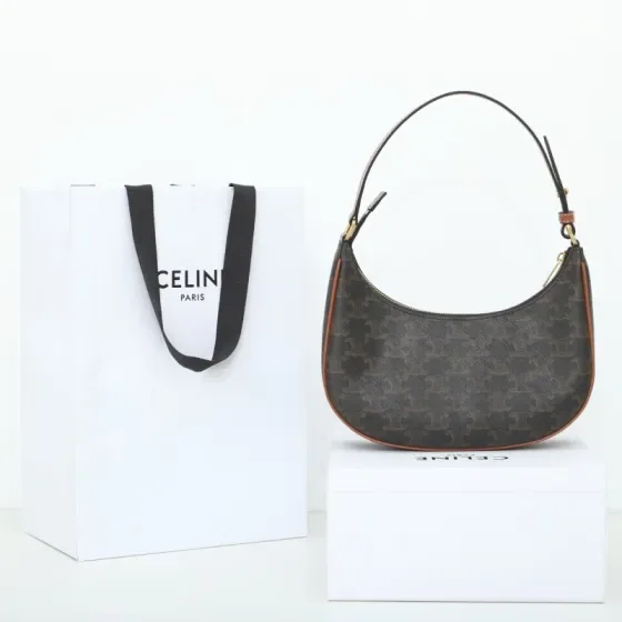 Celine Ava Bag Triomphe Canvas Brown Hobo