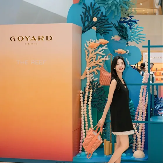 Goyard Belharra Coral Tote Bag