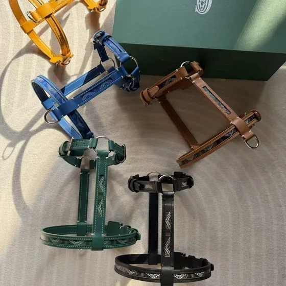 Goyard Edison Brun Rygsæk