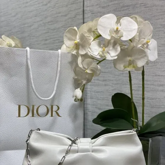 Dior Dior Key Bag Wit Schoudertas