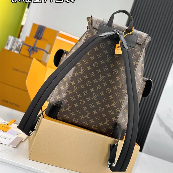 Louis Vuitton Christopher Brown Backpack