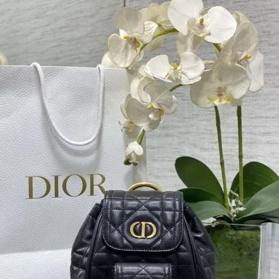 Dior Dior Caro Backpack Black Backpack