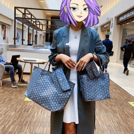 Goyard Anjou Mini Black Brown Tote Bag