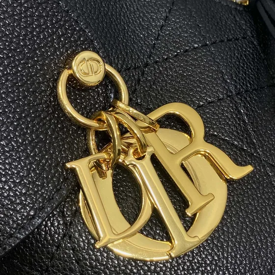 Dior Dior Nolita Hobo Bag สีดำ Hobo