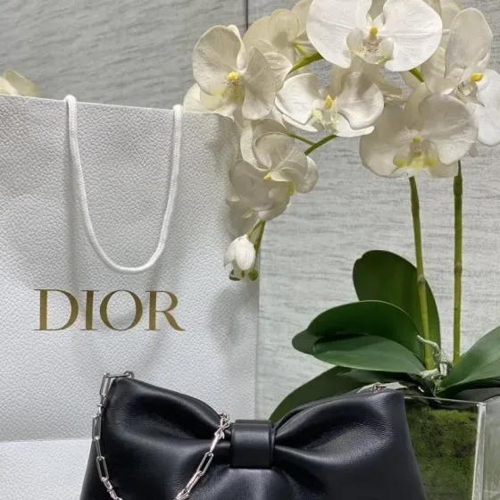 Dior Butterfly Bag Black Shoulder Bag