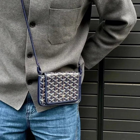 Goyard Plumet Etui Mehrfarbig Crossbody