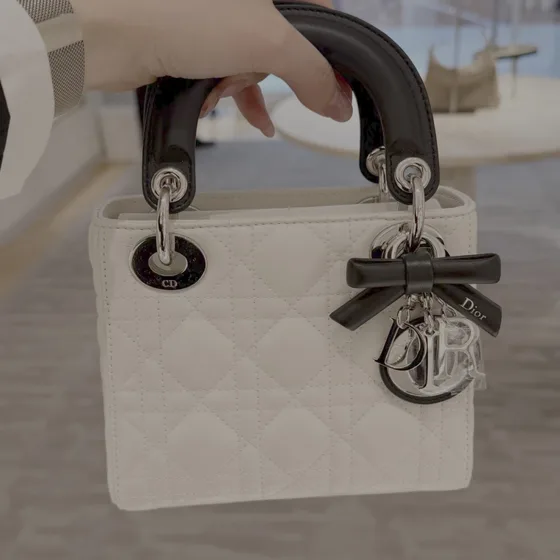 Dior Lady Dior Light Rosa Asa superior