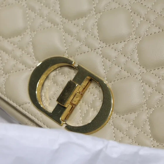 Dior Dior Caro Portaoggetti Beige Crossbody