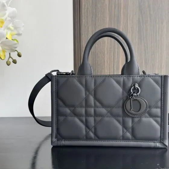 Dior Dior Book Tote Mini Gray Top Handle