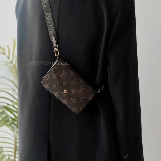 Louis Vuitton Multi Pochette Felicie Brown Crossbody