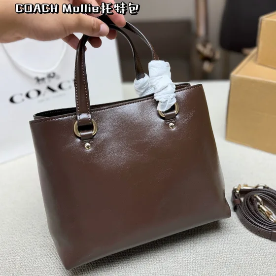 Coach Mollie Borsa tote Marrone Borsa tote