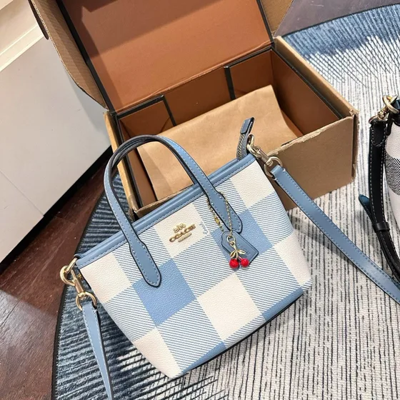Coach Mini City Tote Light Blue Black White Gingham Tote Bag